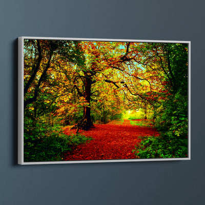 Red Forest Walkway