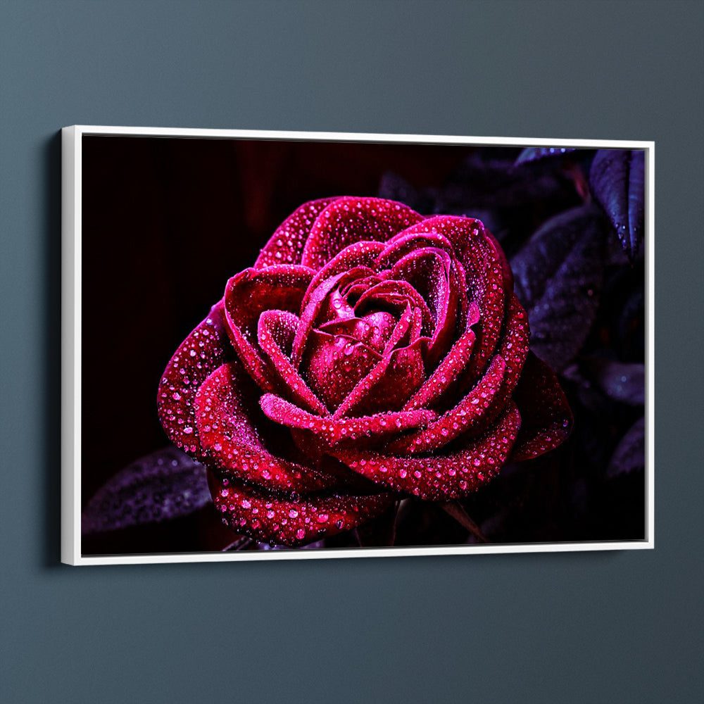 Rain Bejeweled Rose