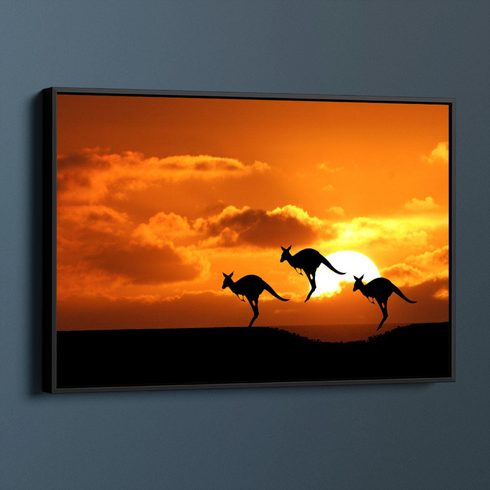 Kangaroo Sunset