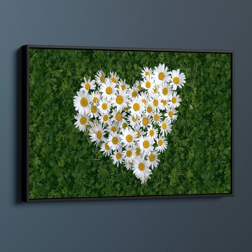 Heart Of Daisies