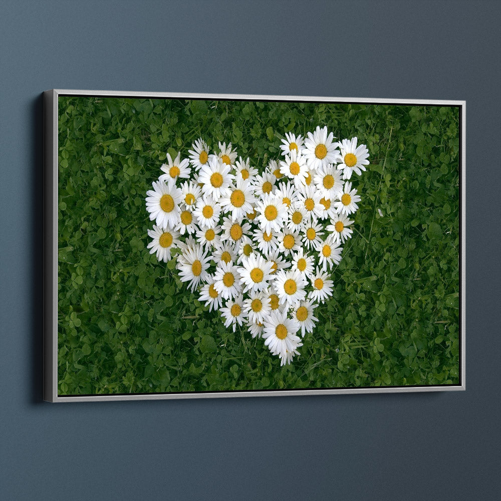 Heart Of Daisies