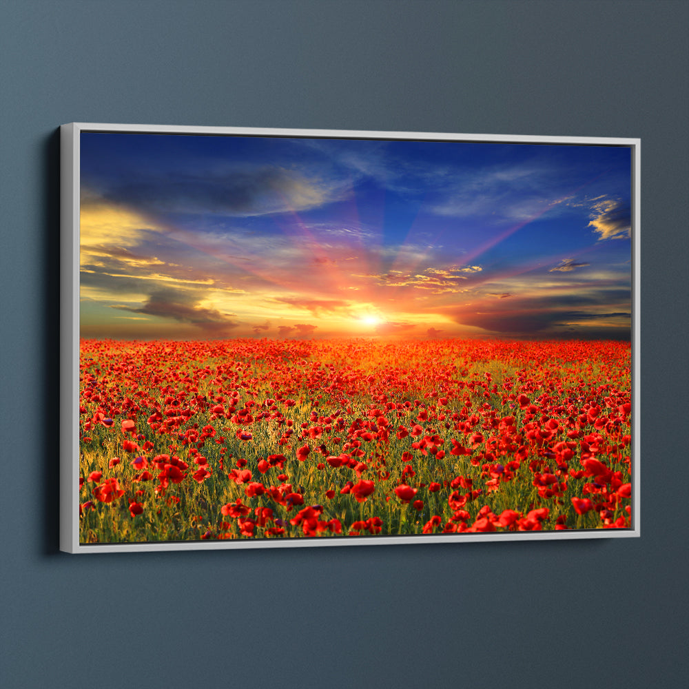 Golden Field Of Poppies