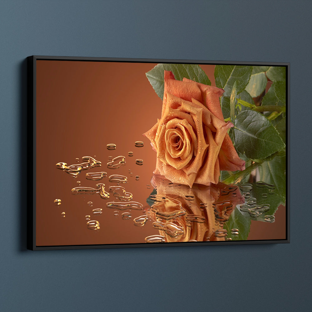 Orange Rose