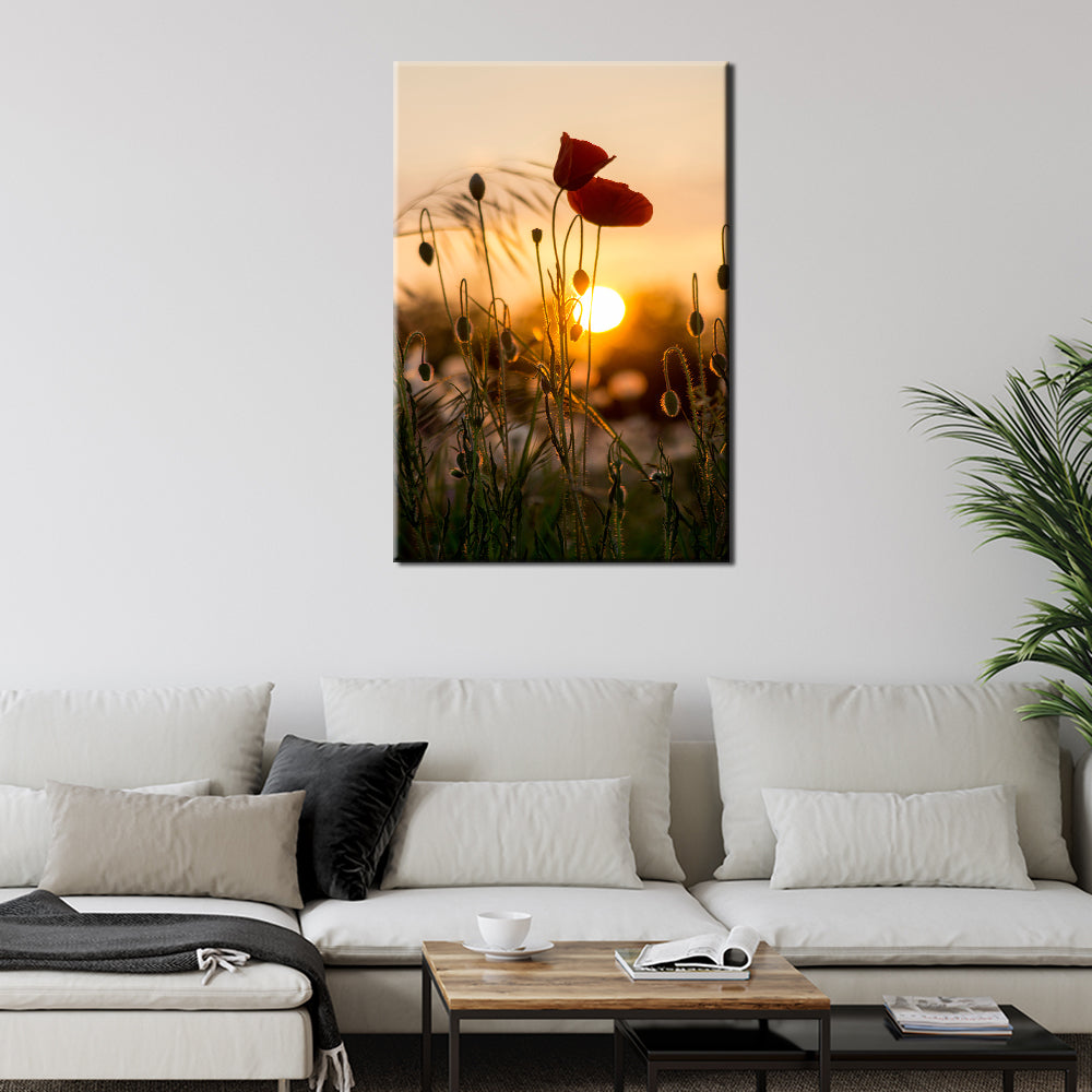 Red Poppy Sunrise