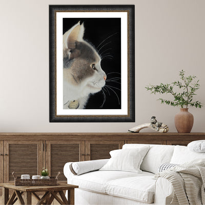 Lumi The Cat Framed