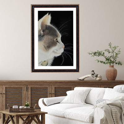 Lumi The Cat Framed