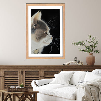 Lumi The Cat Framed